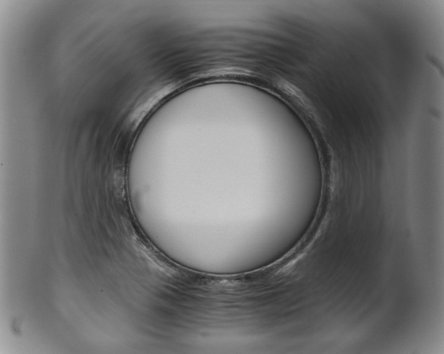 X0000101681321200807101135