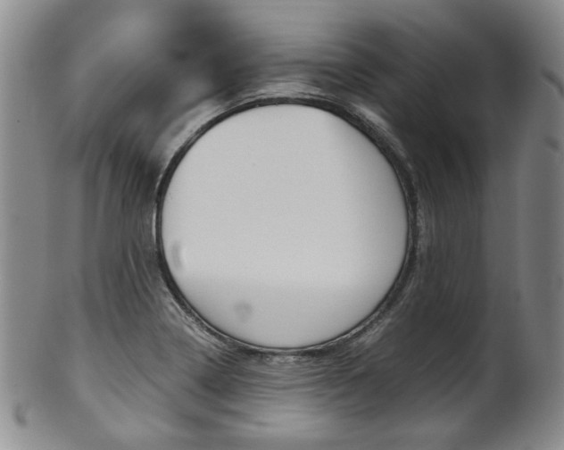 X0000101681322200807101135