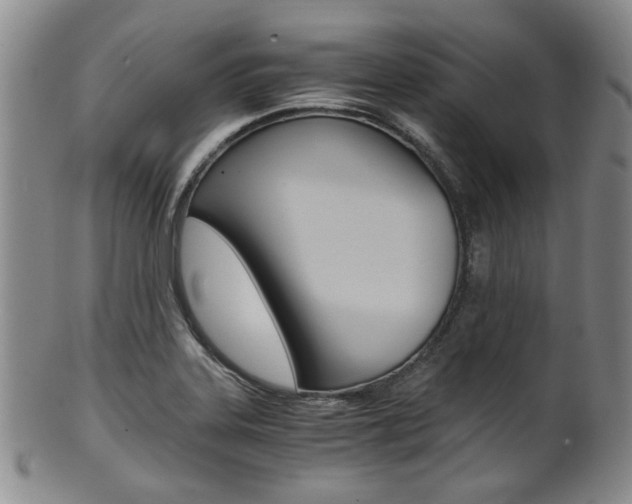 X0000101681323200807101135