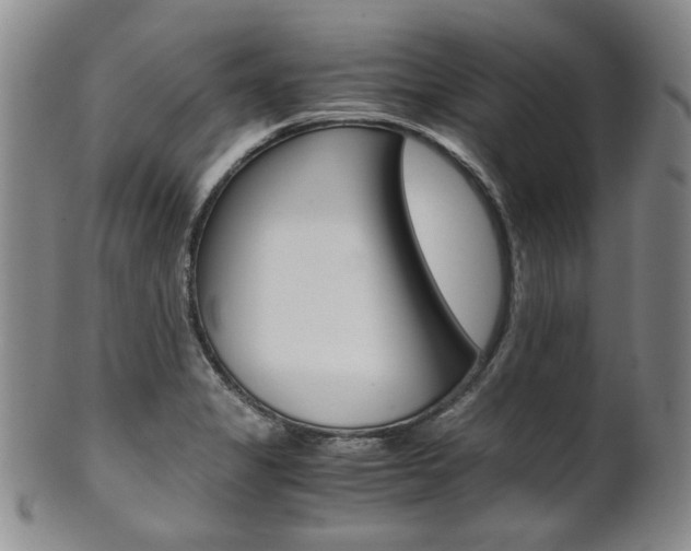 X0000101681325200807101135