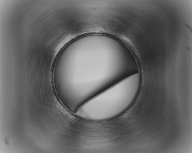 X0000101681326200807101135