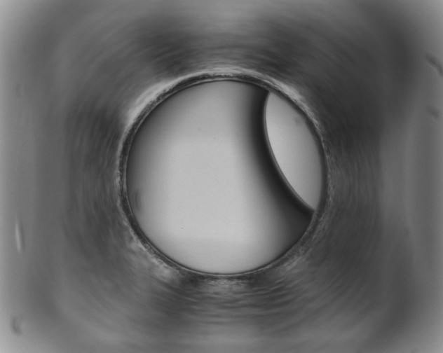 X0000101681327200807101135