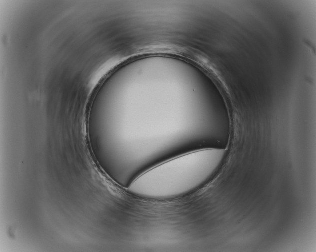 X0000101681328200807101135