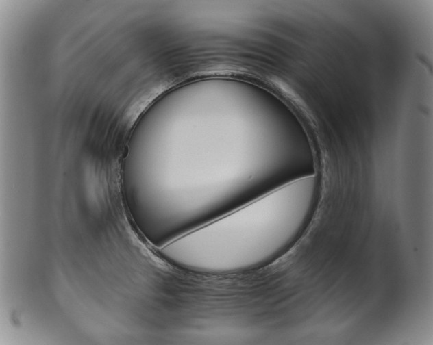 X0000101681329200807101135