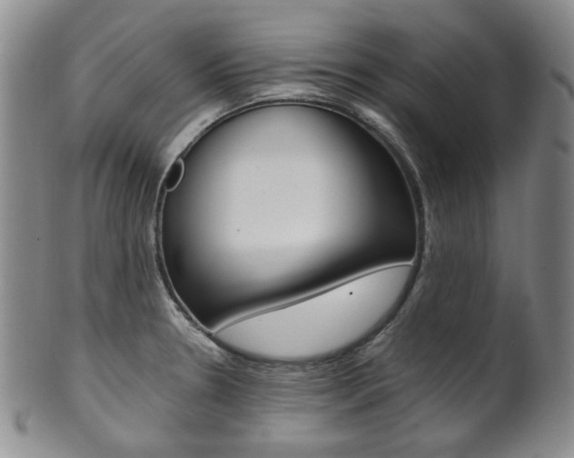 X0000101681330200807101135