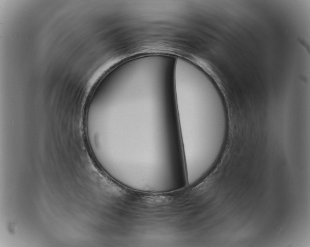 X0000101681331200807101135