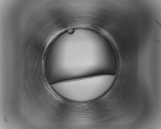 X0000101681332200807101135