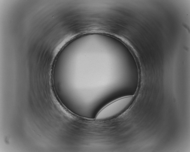 X0000101681333200807101135