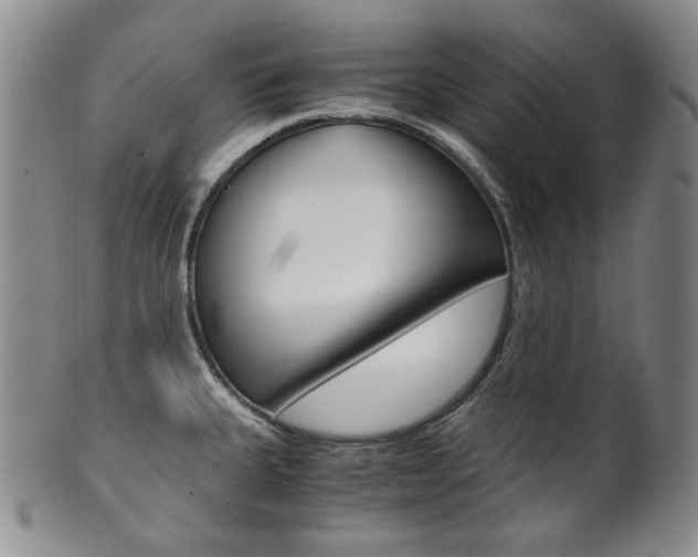 X0000101681335200807101135