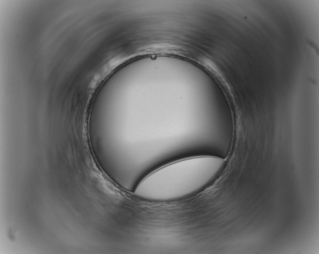 X0000101681336200807101135