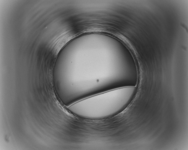 X0000101681337200807101135
