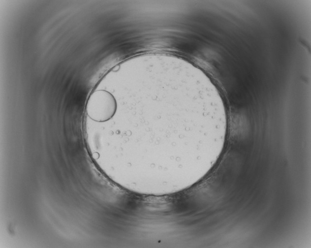 X0000101681338200807101135