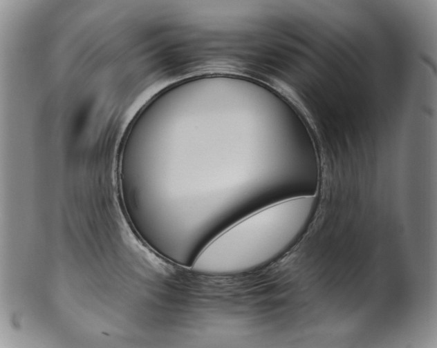 X0000101681339200807101135