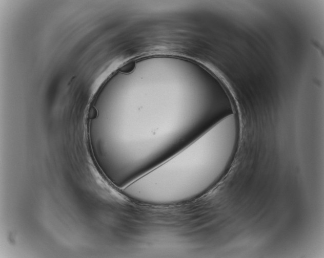 X0000101681341200807101135
