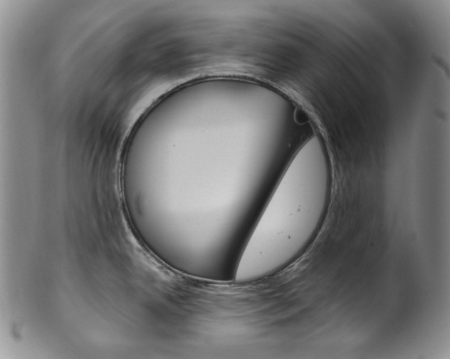X0000101681342200807101135