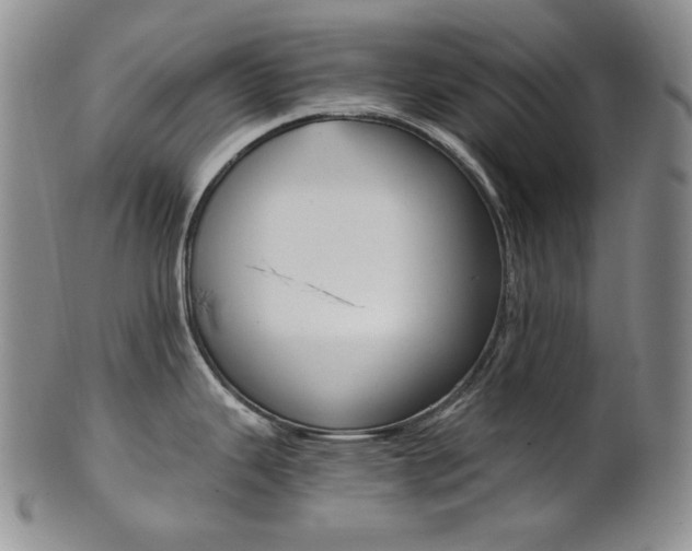 X0000101681343200807101135