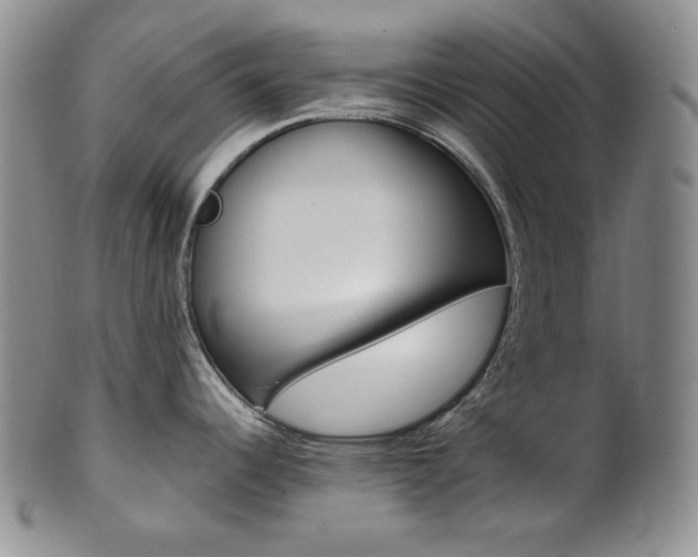 X0000101681344200807101135