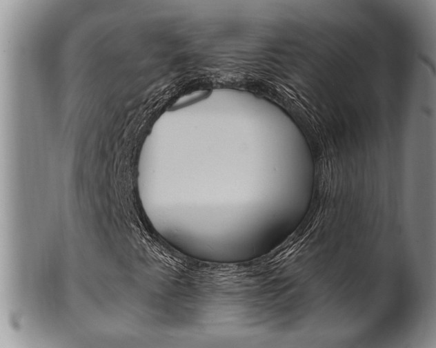 X0000101681345200807101134