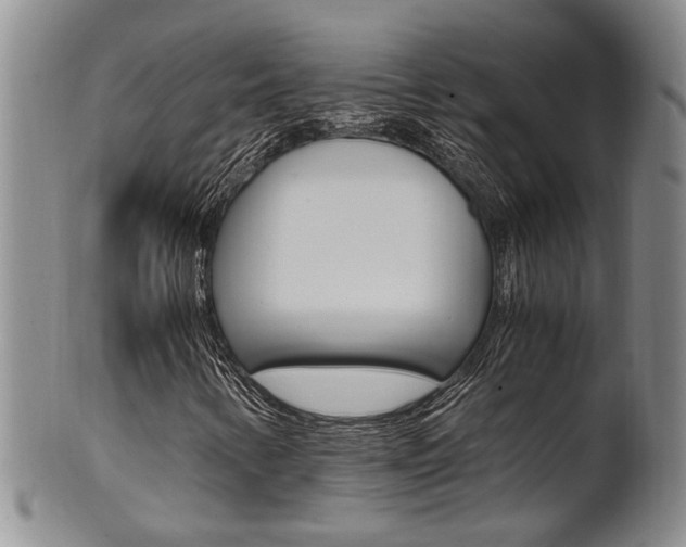 X0000101681346200807101134