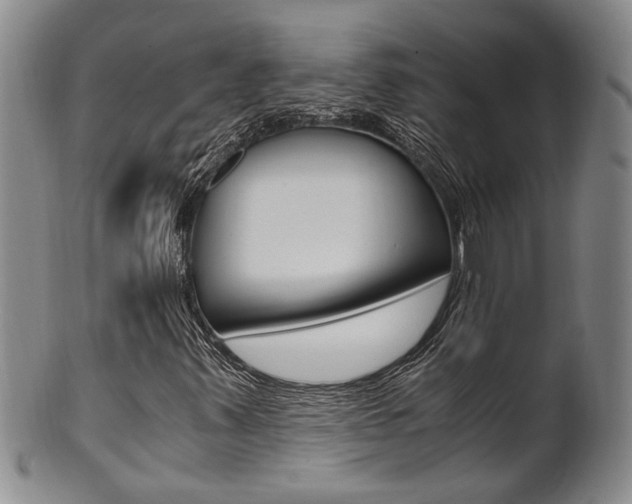 X0000101681347200807101134