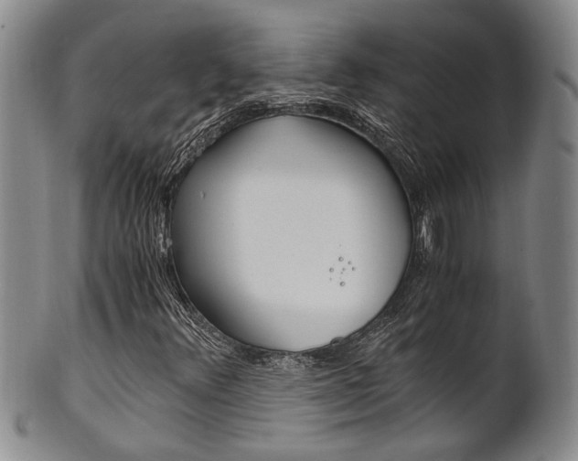 X0000101681348200807101134