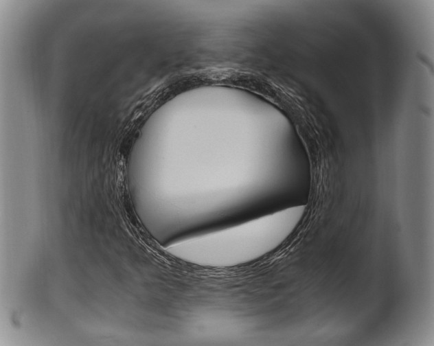 X0000101681349200807101134