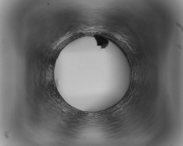 X0000101681350200807101134