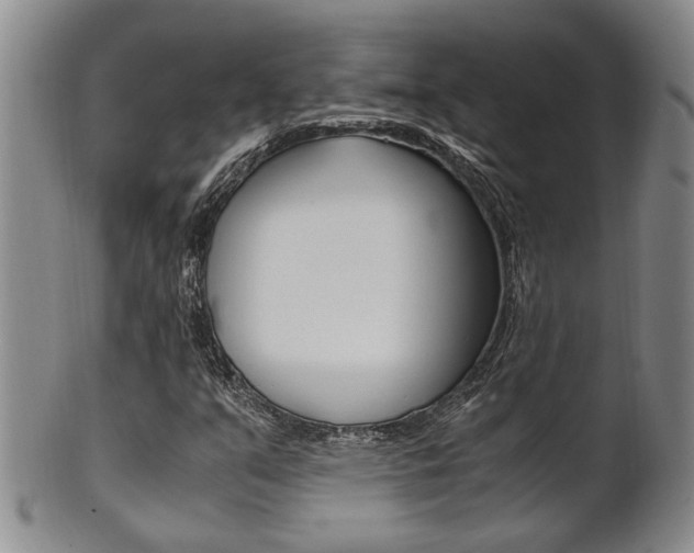X0000101681351200807101134