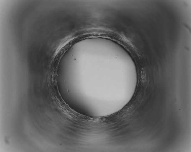 X0000101681352200807101134