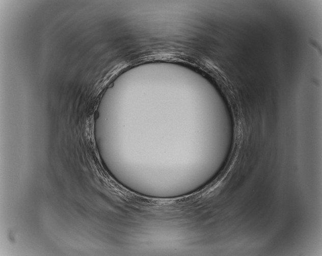 X0000101681353200807101134