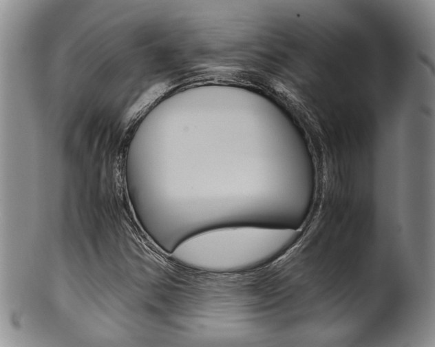 X0000101681354200807101134