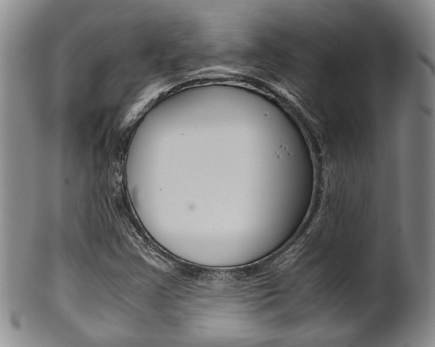 X0000101681355200807101134