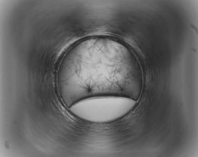 X0000101681356200807101134