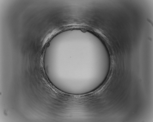X0000101681357200807101134