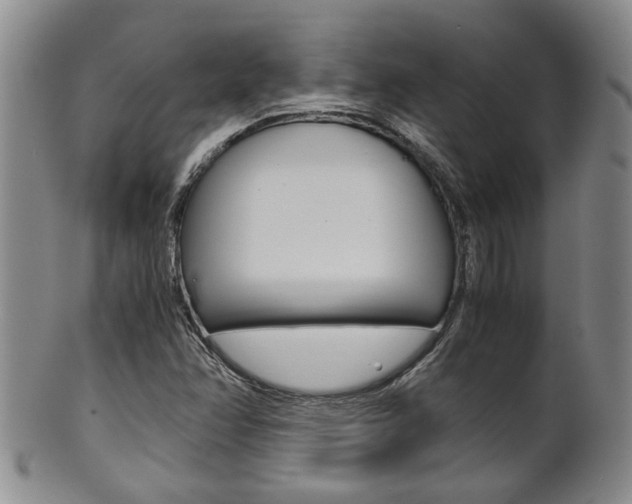 X0000101681358200807101134