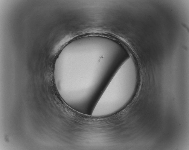 X0000101681359200807101134