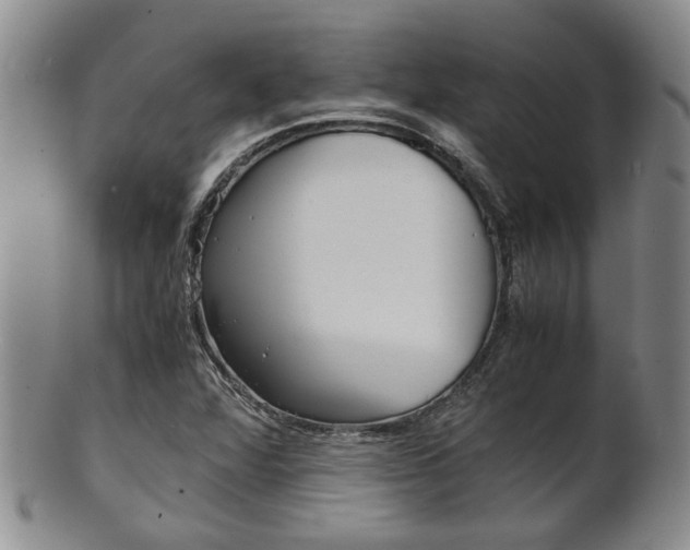 X0000101681360200807101134