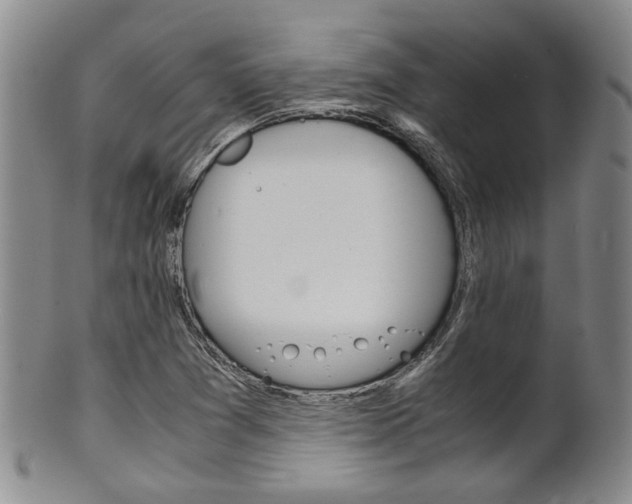X0000101681361200807101134