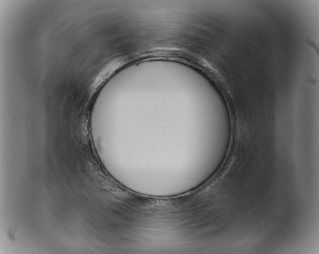 X0000101681362200807101134