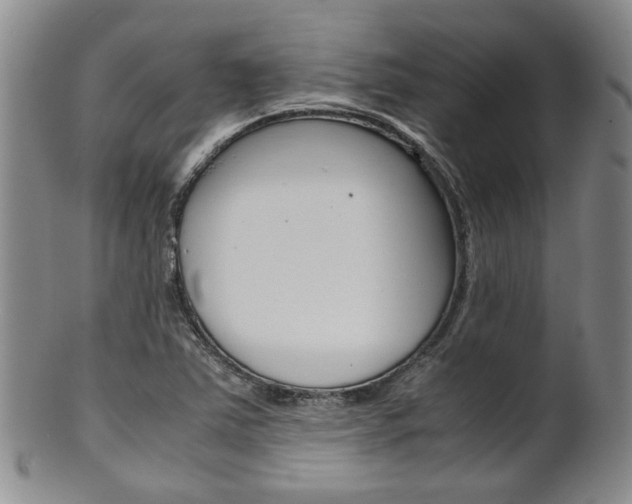 X0000101681363200807101134