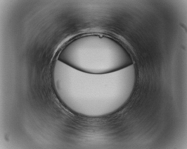 X0000101681364200807101134