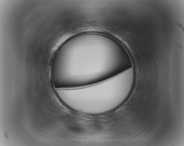 X0000101681367200807101134