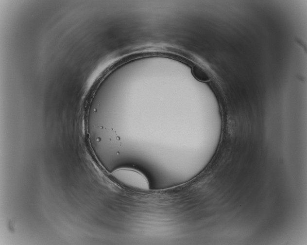 X0000101681368200807101134