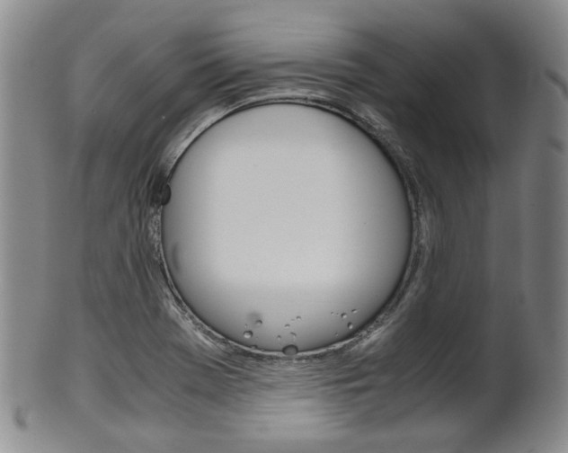 X0000101681369200807101134