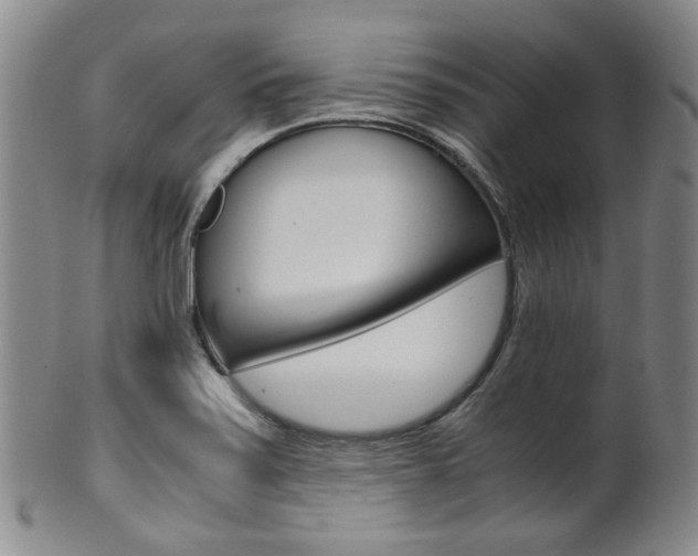 X0000101681371200807101134