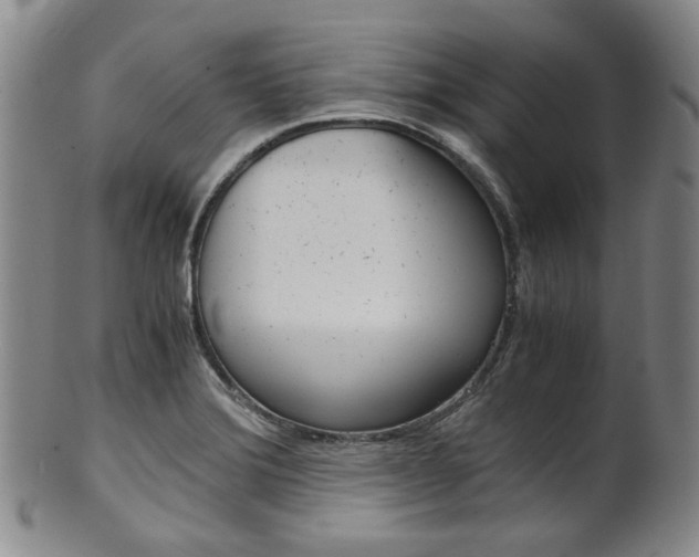 X0000101681372200807101134