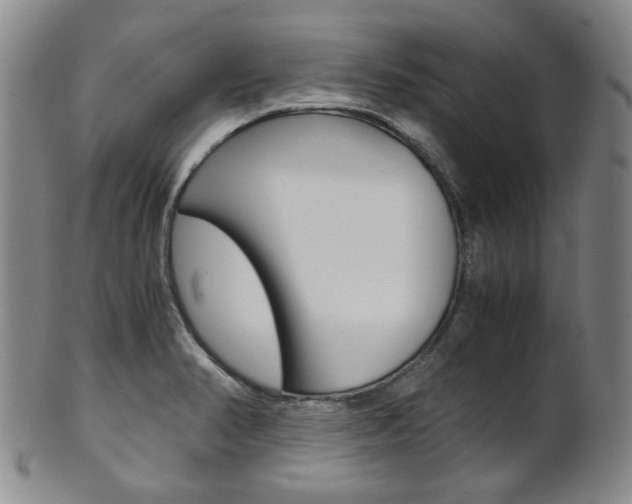 X0000101681374200807101134