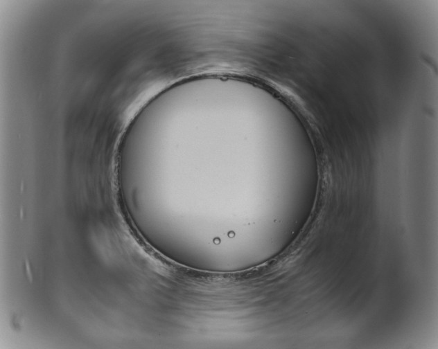 X0000101681375200807101134