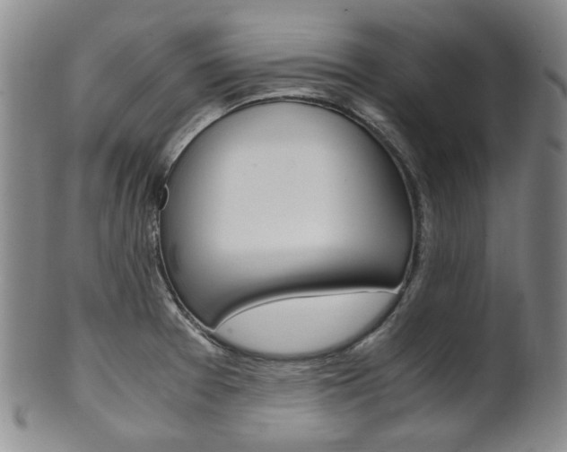 X0000101681377200807101134