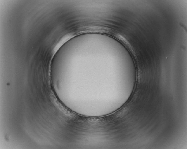 X0000101681378200807101134